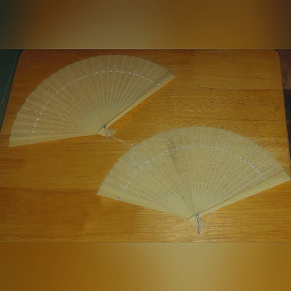 Pair of Asian Designed Hand Fans